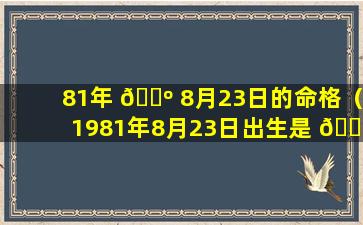 81年 🌺 8月23日的命格（1981年8月23日出生是 🐧 什么星座）